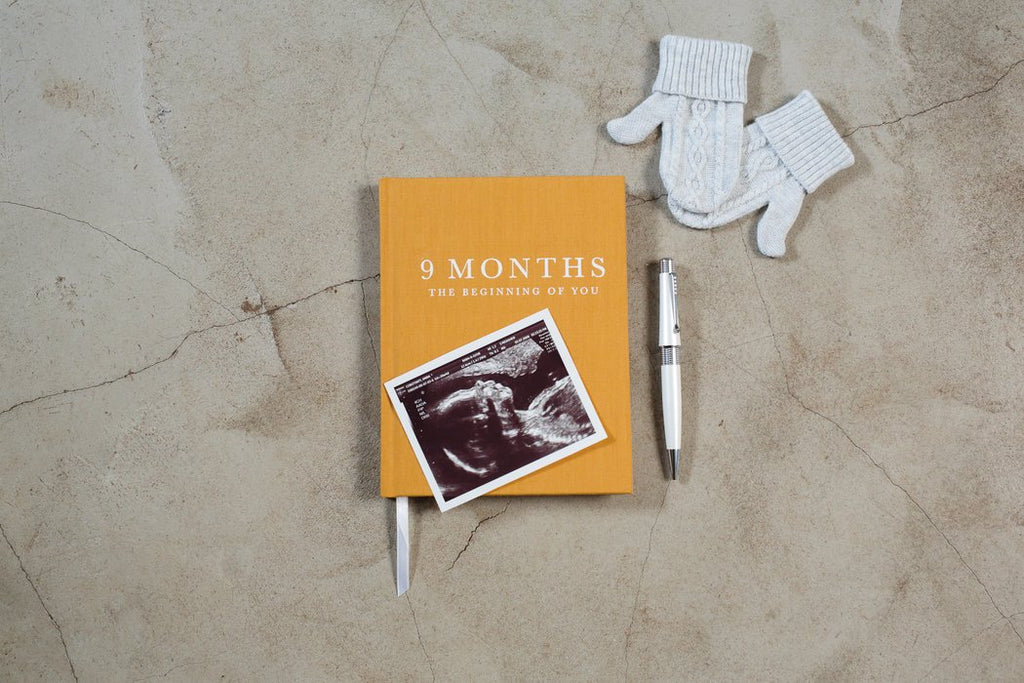 9 Months - The Beginning Of You Pregnancy Journal - Petit Luxe Bebe