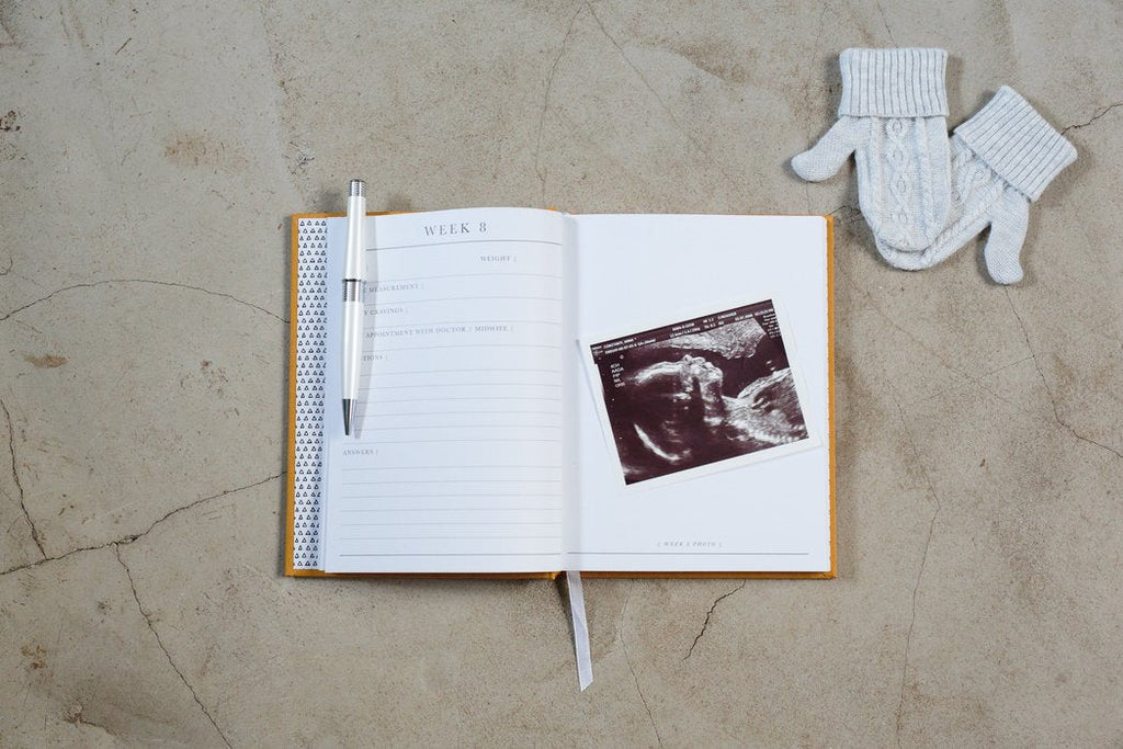 9 Months - The Beginning Of You Pregnancy Journal - Petit Luxe Bebe